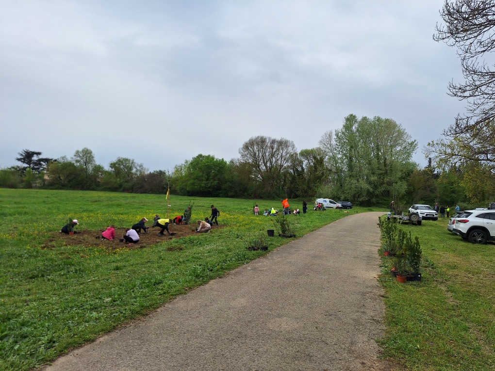 Opération plantation BRL Espaces Naturels à Vestric-et-Candiac
