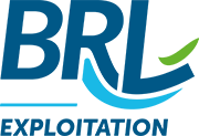 Logo BRLE