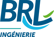 Logo BRLI