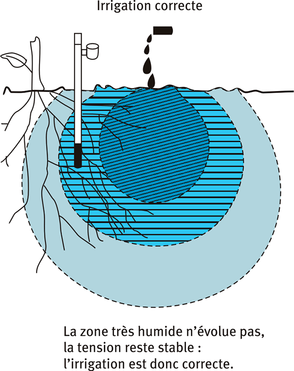 Irrigation correcte