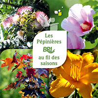 Album - Les Pépinières BRL au fil des saisons