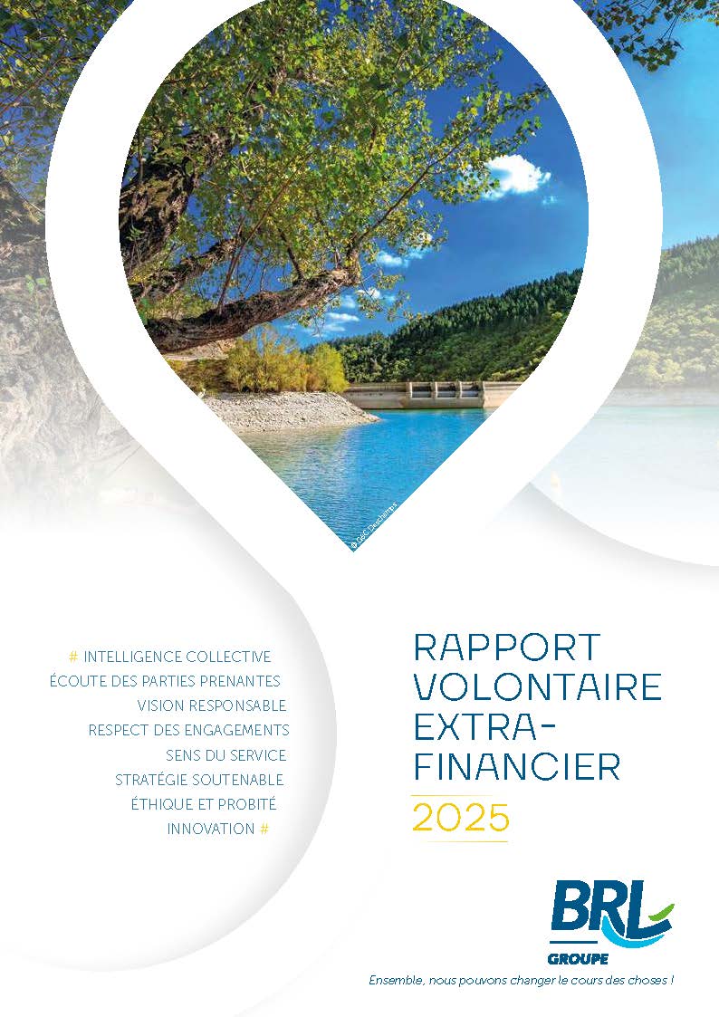Rapport Volontaire Extra-Financier 2025